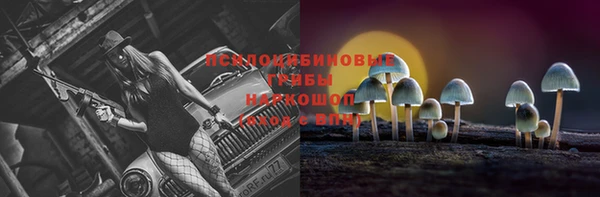 гидра Магас
