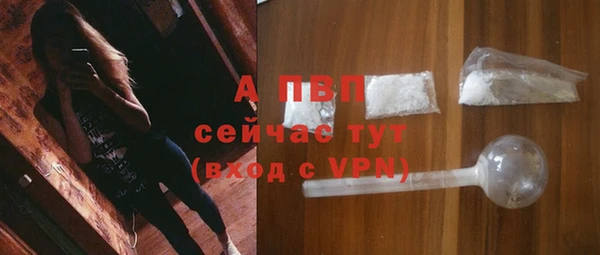 гидра Магас
