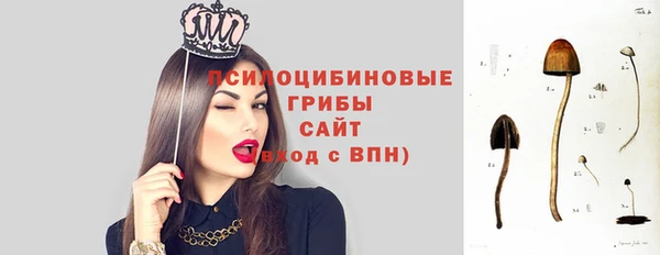гидра Магас