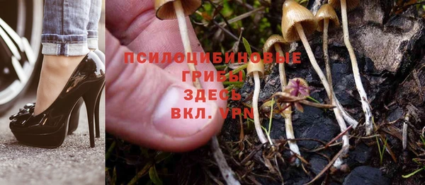 амф Шарыпово