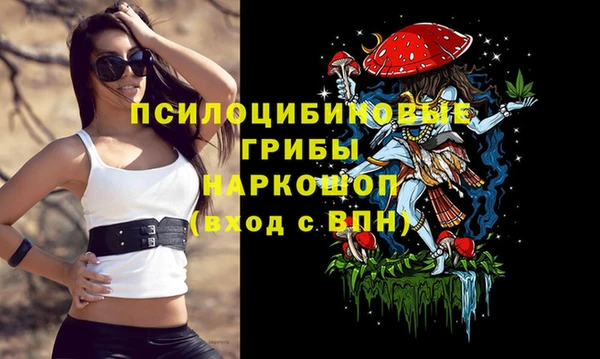 гидра Магас