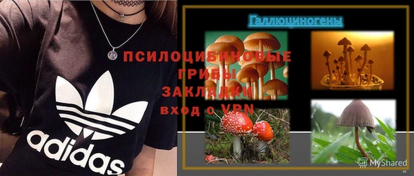 гидра Магас