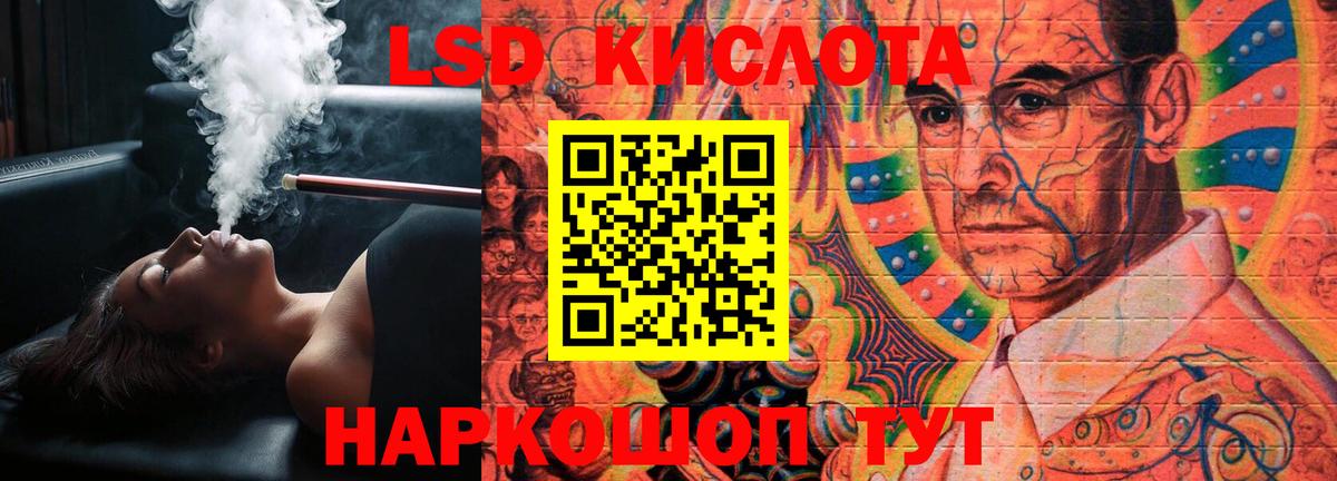 Псилоцибиновые грибы Бирск