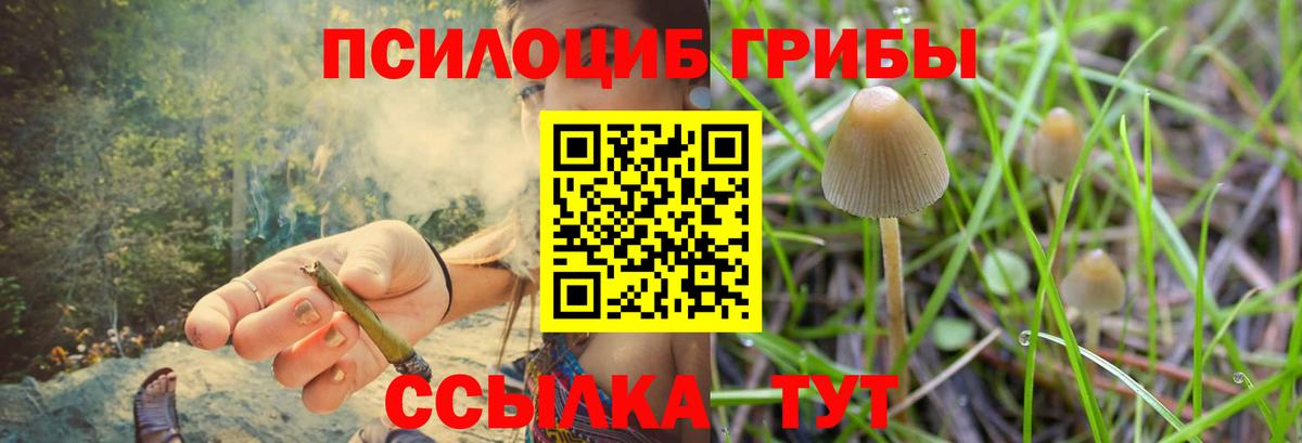 продажа наркотиков  Псилоцибиновые грибы Psilocybine cubensis  Галлюциногенные грибы Psilocybine cubensis  Вход с VPN  Бирск 
