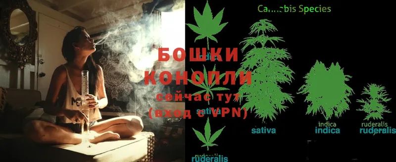 Конопля Ganja  Бирск 